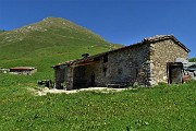 29  Baita Zuccone (1686 m) con sullo sfondo Il Monte Vindiolo (2056 m)